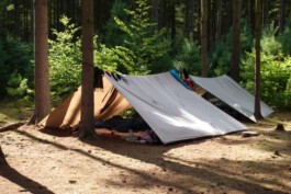 Einfache Schlafplätze mit hellen Planen und Decken sind zwischen Bäumen auf dem Waldboden aufgebaut.