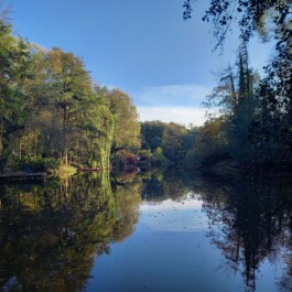 Ruhiger See zwischen Bäumen unter blauem Himmel, umgeben von herbstlicher Natur.