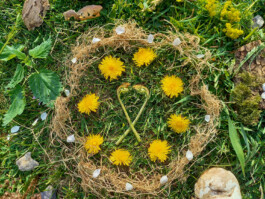 Kreisförmig angeordnete gelbe Löwenzahnblüten, Gräser und kleine Steine auf einer grünen Wiese.