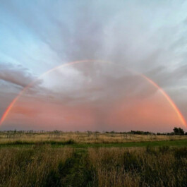 Ein Regenbogen spannt sich über eine weite Wiesenlandschaft im Abendlicht.