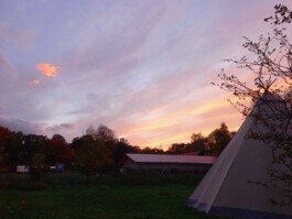 Rosa gefärbter Abendhimmel über dem Gelände des Trauerfeuers mit einem Zelt zwischen Bäumen.