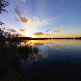 Die untergehende Sonne spiegelt sich auf einem ruhigen See. Schilf am Ufer und Wolken im Abendlicht rahmen die Landschaft ein.