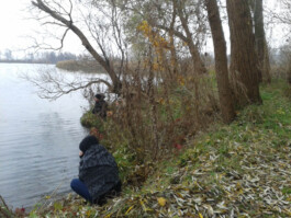 Eine Person sitzt am Ufer eines Sees zwischen Bäumen und blickt auf das Wasser.